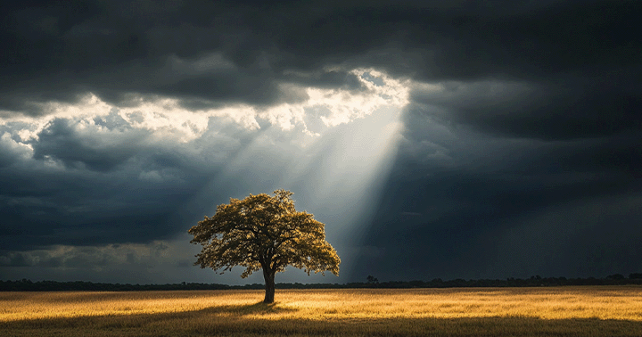 «В Нем была жизнь, и жизнь была свет человека»